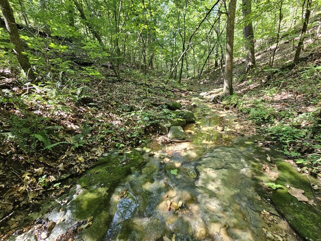 65ACRES Plainview Rd, Anderson, MO 64831 - photo 24