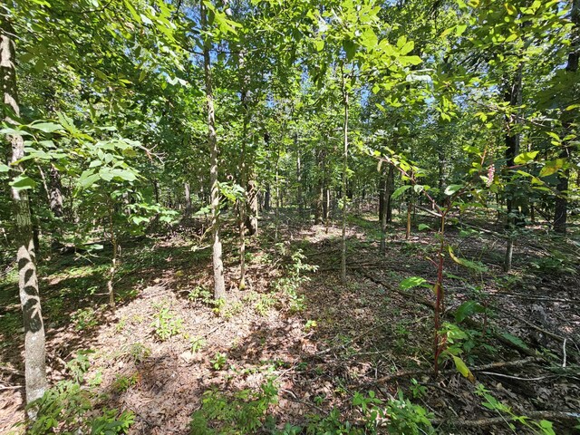 65ACRES Plainview Rd, Anderson, MO 64831 - photo 9
