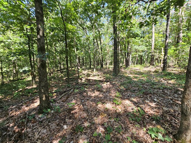65ACRES Plainview Rd, Anderson, MO 64831 - photo 21