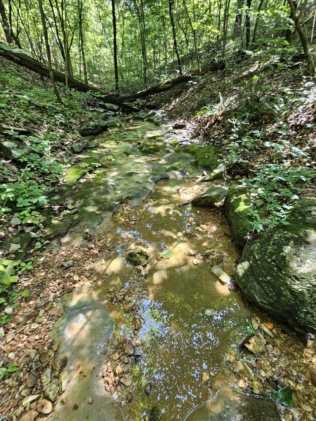 65ACRES Plainview Rd, Anderson, MO 64831 - photo 22