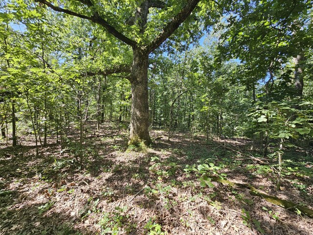 65ACRES Plainview Rd, Anderson, MO 64831 - photo 14
