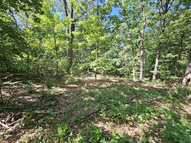 65ACRES Plainview Rd, Anderson, MO 64831 - photo 12
