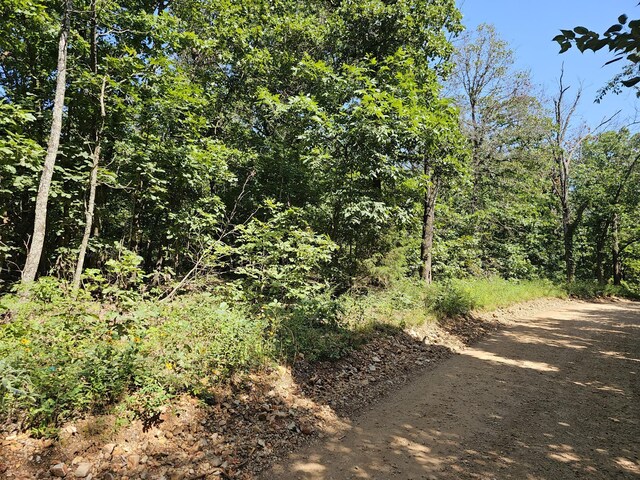 65ACRES Plainview Rd, Anderson, MO 64831 - photo 30