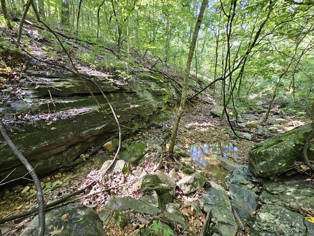 65ACRES Plainview Rd, Anderson, MO 64831 - photo 3