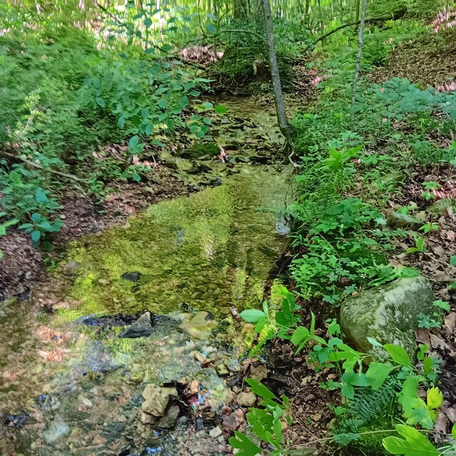 65ACRES Plainview Rd, Anderson, MO 64831 - photo 27