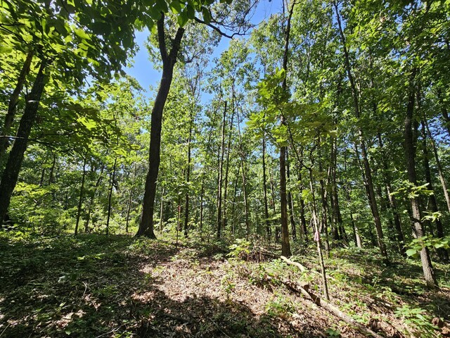 65ACRES Plainview Rd, Anderson, MO 64831 - photo 20