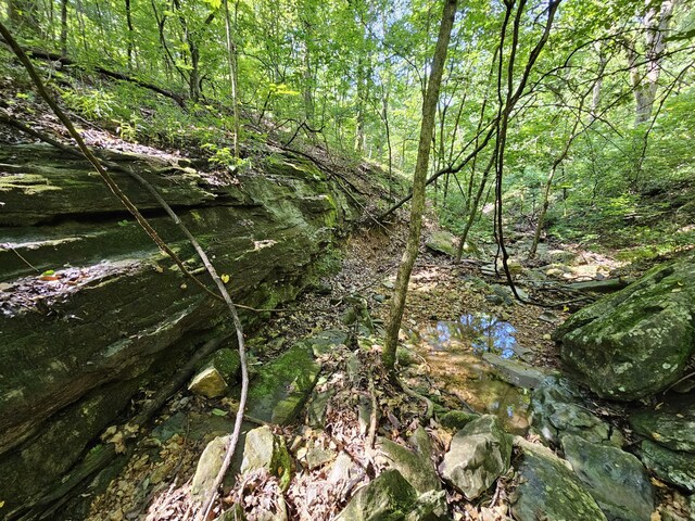 65ACRES Plainview Rd, Anderson, MO 64831 - photo 7