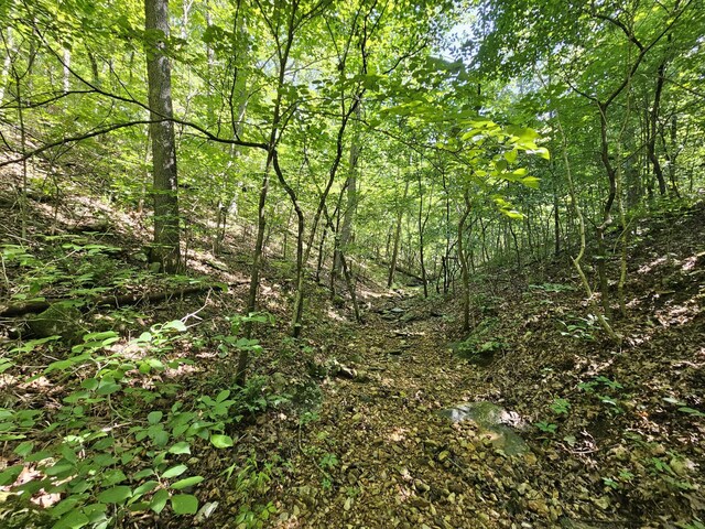 65ACRES Plainview Rd, Anderson, MO 64831 - photo 15