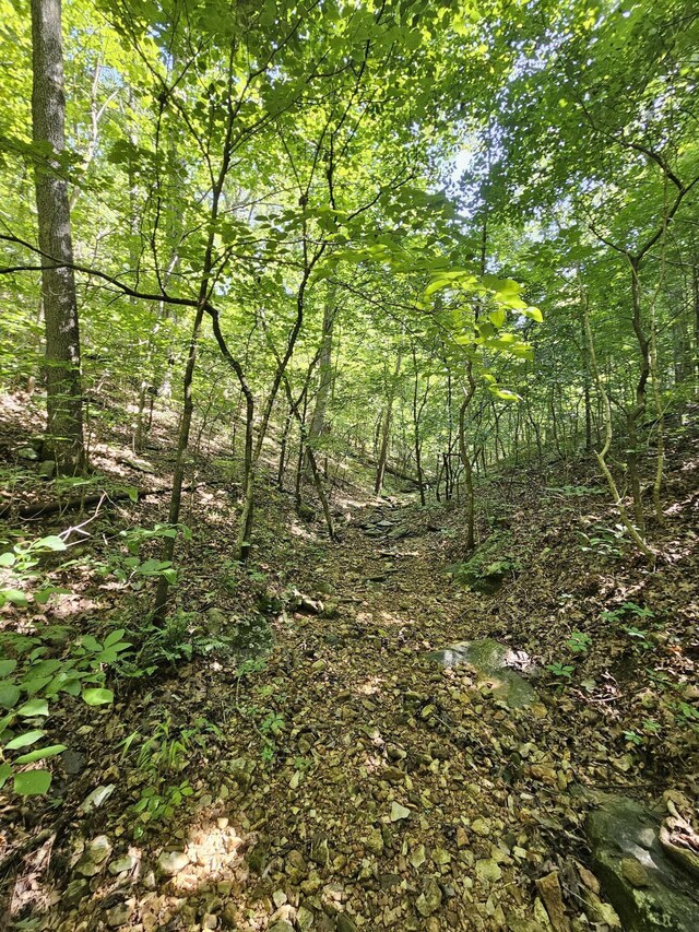 65ACRES Plainview Rd, Anderson, MO 64831 - photo 16