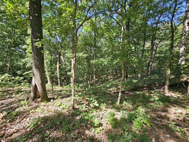65ACRES Plainview Rd, Anderson, MO 64831 - photo 8