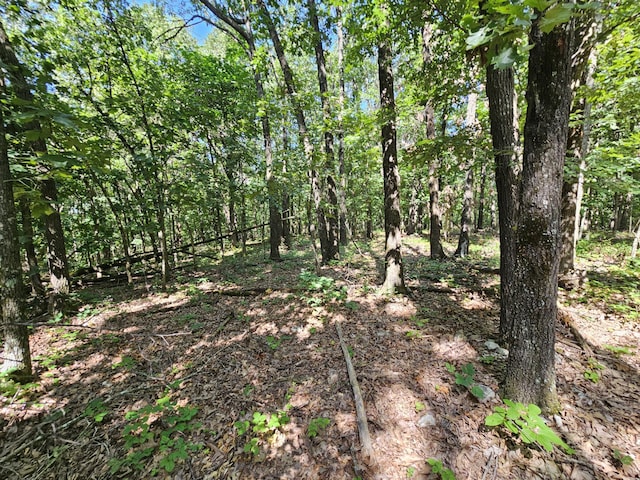 65ACRES Plainview Rd, Anderson, MO 64831 - photo 11