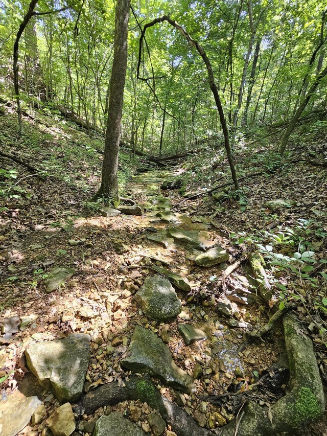 65ACRES Plainview Rd, Anderson, MO 64831 - photo 17