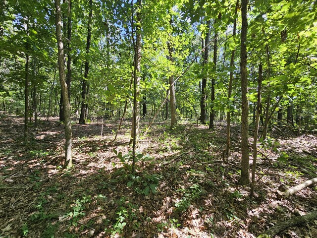 65ACRES Plainview Rd, Anderson, MO 64831 - photo 10