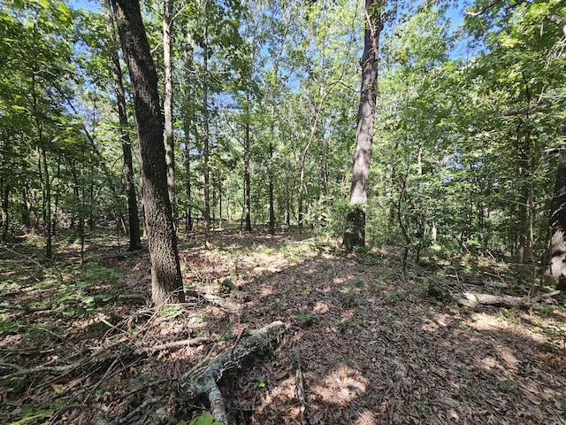 65ACRES Plainview Rd, Anderson, MO 64831 - photo 2