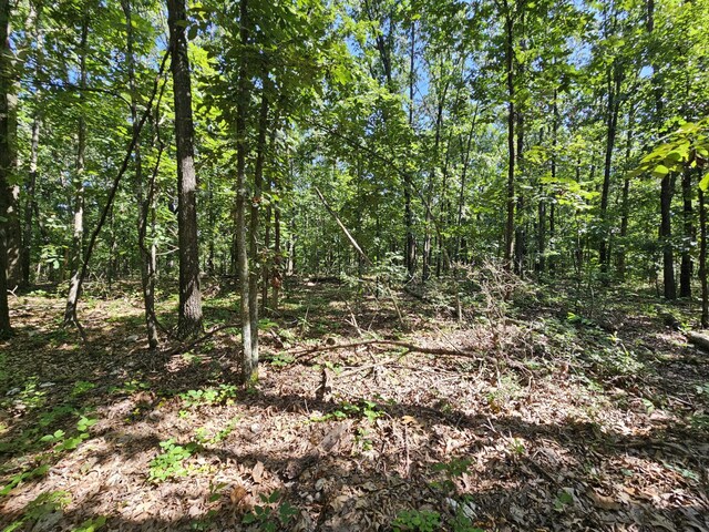 65ACRES Plainview Rd, Anderson, MO 64831 - photo 13