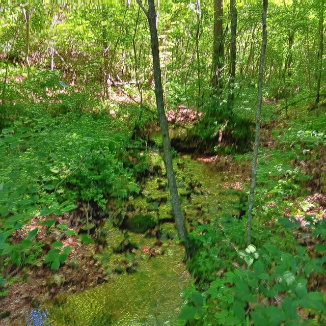 65ACRES Plainview Rd, Anderson, MO 64831 - photo 26