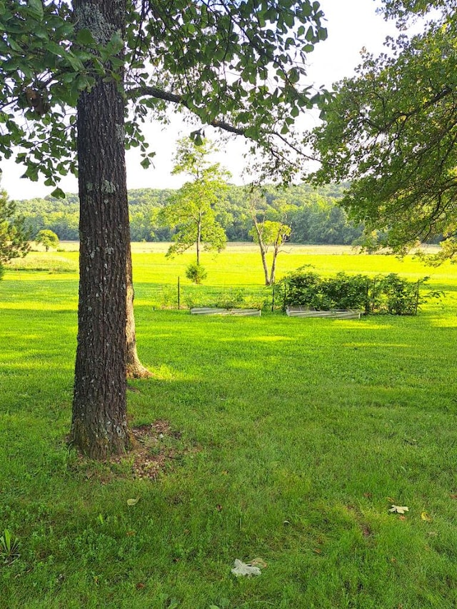 1898 King Rd, Mountain Grove, MO 65711 - photo 20
