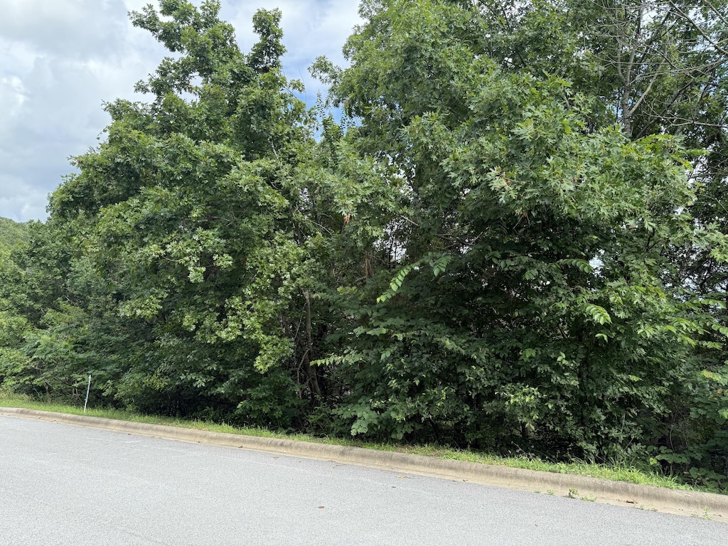 280 Samara Way, Hollister, MO 65672 - photo 2