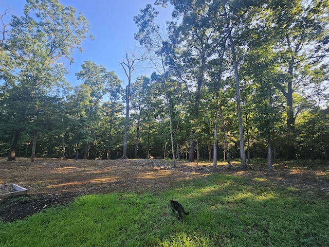 3307 S 111th Rd, Flemington, MO 65650 - photo 9