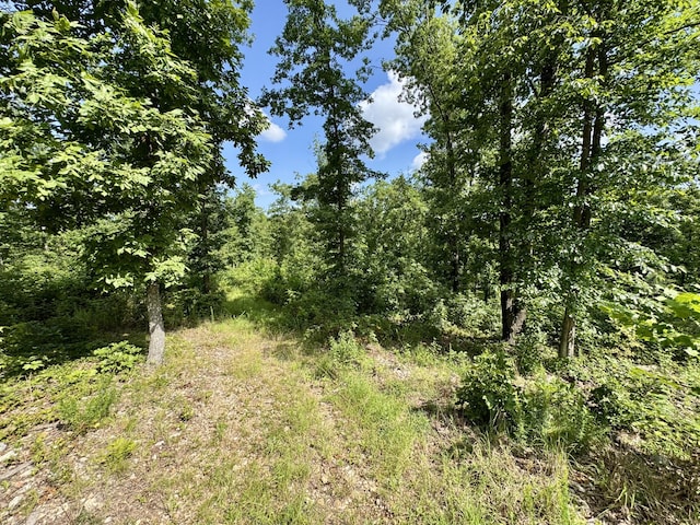 340 Robin Ln, Powell, MO 65730 - photo 10