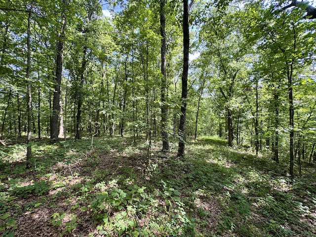 340 Robin Ln, Powell, MO 65730 - photo 20