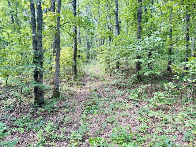 340 Robin Ln, Powell, MO 65730 - photo 31