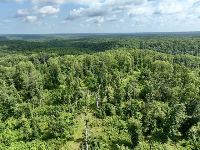 340 Robin Ln, Powell, MO 65730 - photo 8