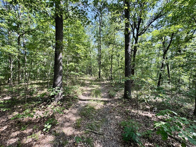 340 Robin Ln, Powell, MO 65730 - photo 13