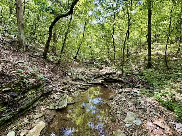 340 Robin Ln, Powell, MO 65730 - photo 26