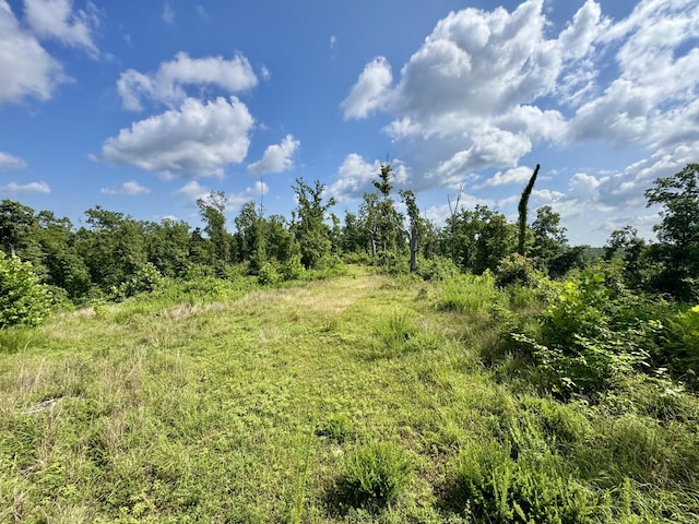340 Robin Ln, Powell, MO 65730 - photo 9