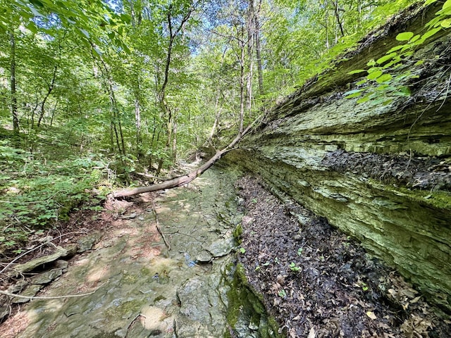 340 Robin Ln, Powell, MO 65730 - photo 28