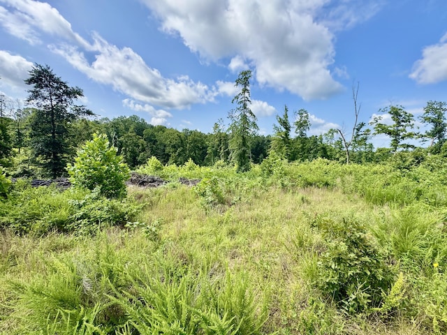 340 Robin Ln, Powell, MO 65730 - photo 7