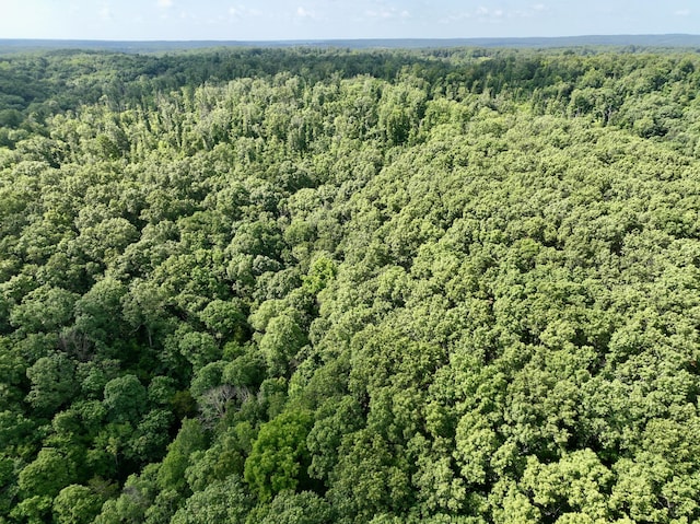 340 Robin Ln, Powell, MO 65730 - photo 17