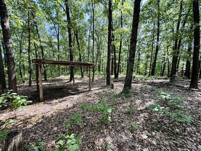 340 Robin Ln, Powell, MO 65730 - photo 18