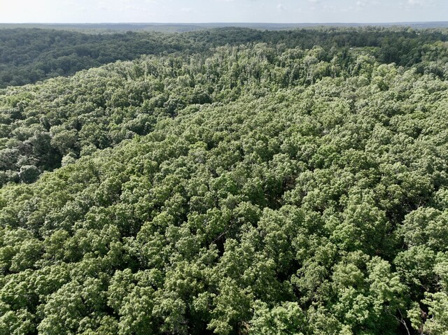 340 Robin Ln, Powell, MO 65730 - photo 16