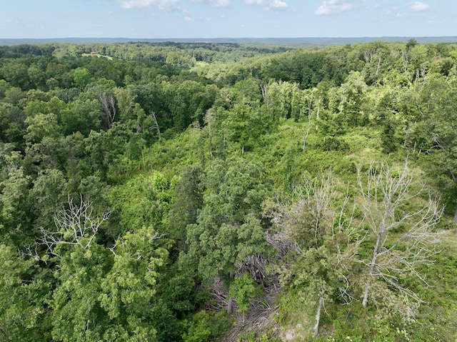 340 Robin Ln, Powell, MO 65730 - photo 32