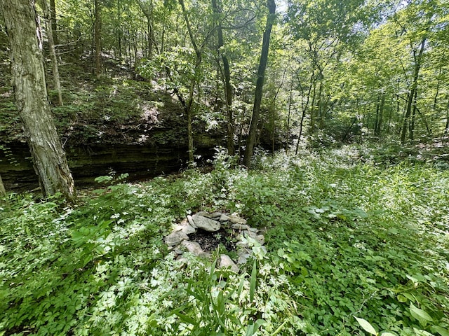 340 Robin Ln, Powell, MO 65730 - photo 21