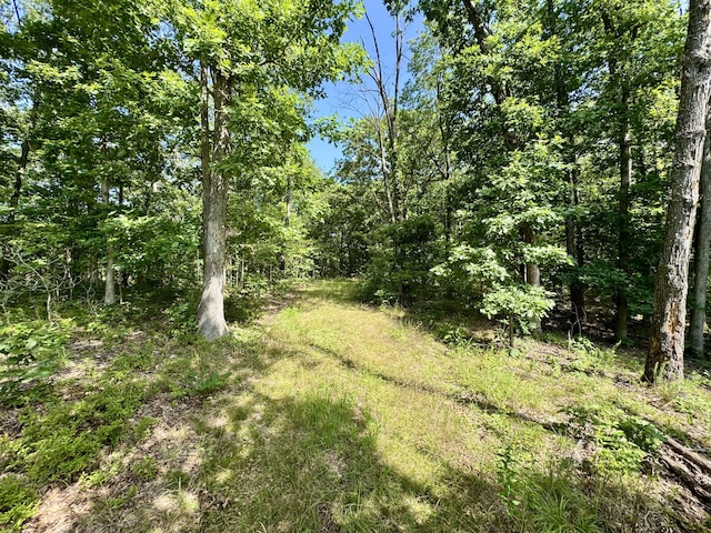 340 Robin Ln, Powell, MO 65730 - photo 12