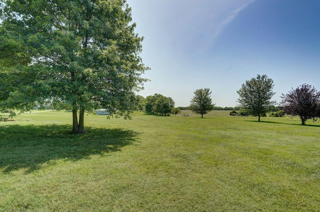 134 Hazen Ln, Nixa, MO 65714 - photo 8
