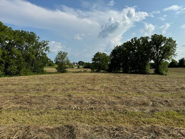 000 E Farm Rd 194, Rogersville, MO 65742 - photo 19