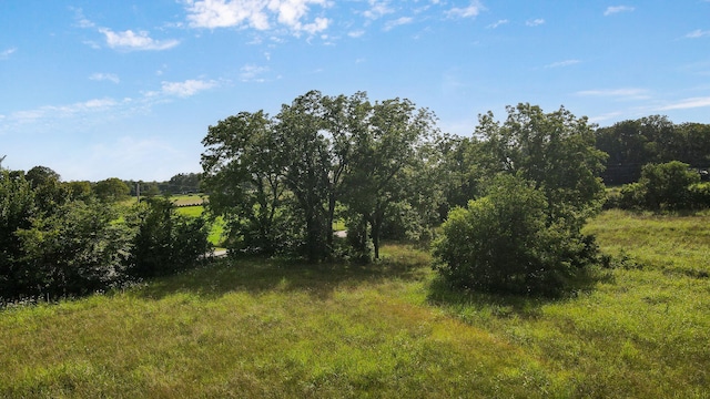 000 E Farm Rd 194, Rogersville, MO 65742 - photo 12