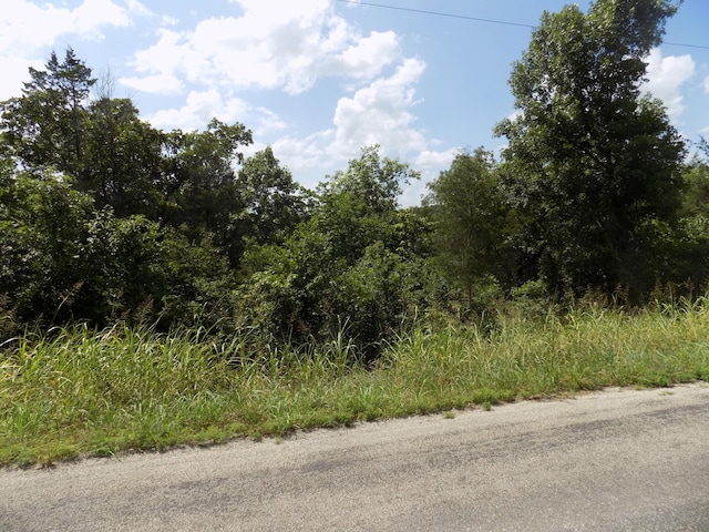TBD Cane Creek Rd, Kissee Mills, MO 65680 - photo 4