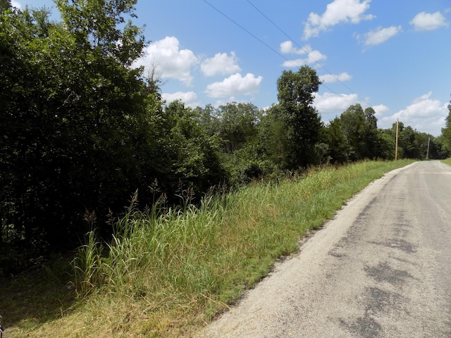 TBD Cane Creek Rd, Kissee Mills, MO 65680 - photo 1