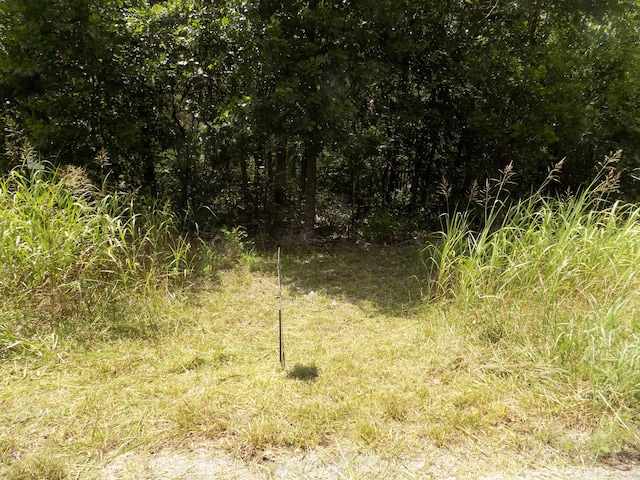 TBD Cane Creek Rd, Kissee Mills, MO 65680 - photo 3