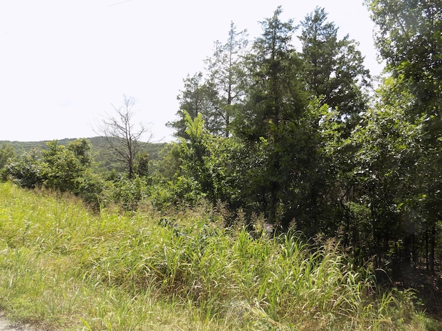TBD Cane Creek Rd, Kissee Mills, MO 65680 - photo 2