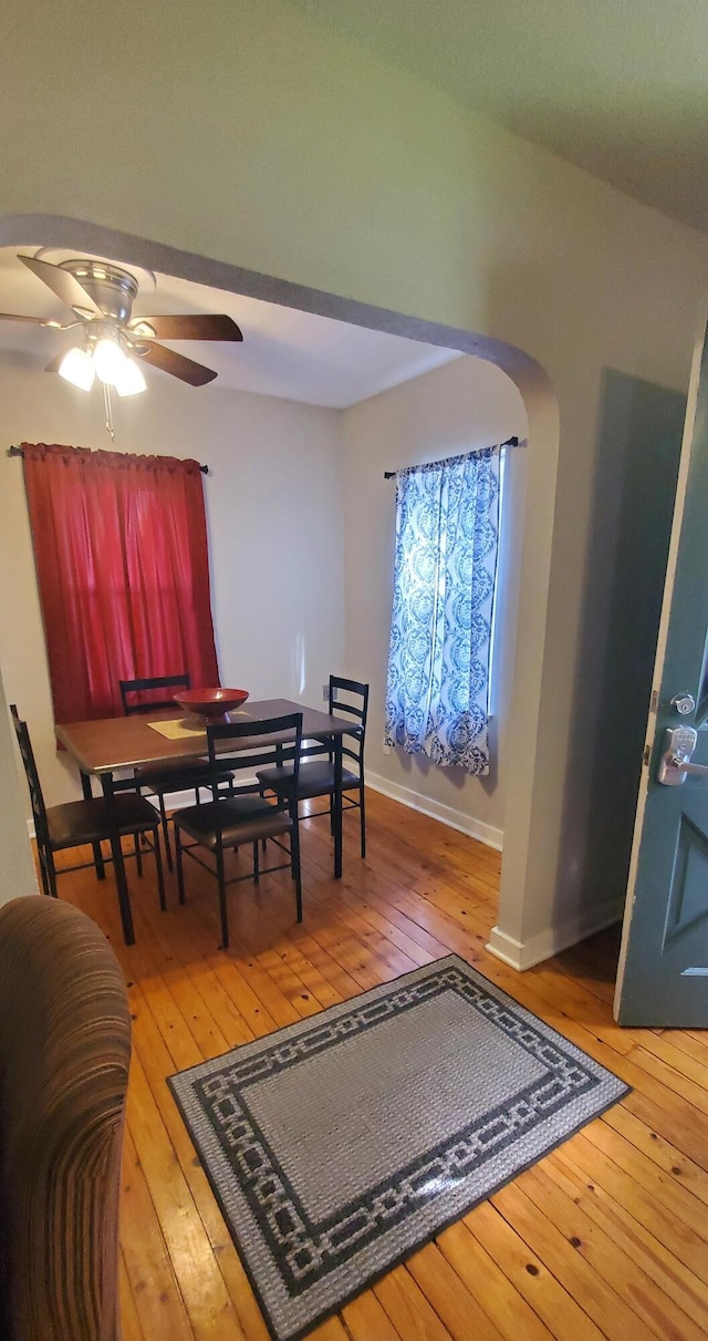810 W Minota St, Springfield, MO 65807 - photo 10