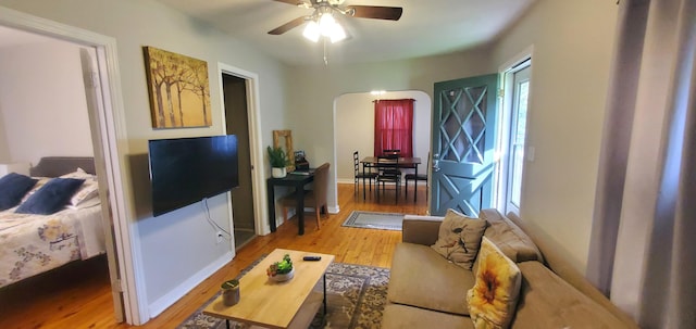 810 W Minota St, Springfield, MO 65807 - photo 4