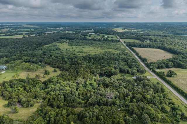11145 State Hwy W, Elkland, MO 65644 - photo 100
