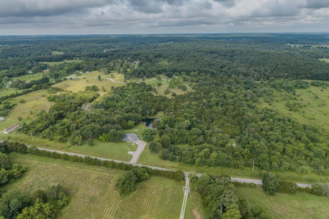 11145 State Hwy W, Elkland, MO 65644 - photo 95