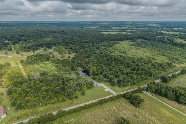 11145 State Hwy W, Elkland, MO 65644 - photo 97